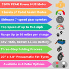 ENGWE L20 Fat Tyre Electric Bike