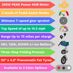 Engwe ENGINE X Fat Tyre eBike