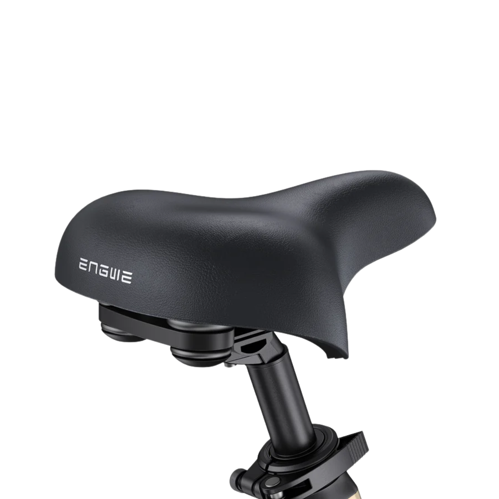 ENGWE L20 3.0 Pro Electric Bike