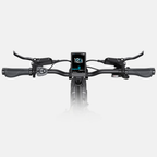 ENGWE L20 3.0 Pro Electric Bike