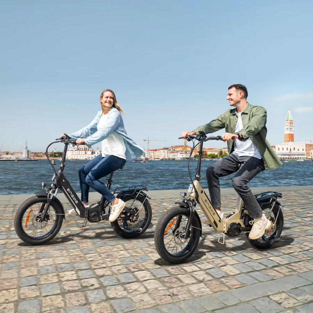 ENGWE L20 3.0 Pro Electric Bike