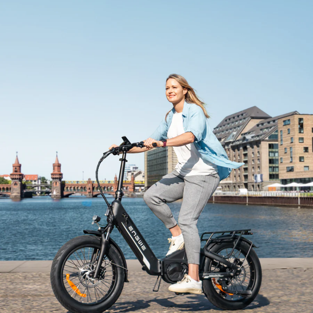 ENGWE L20 3.0 Pro Electric Bike