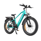 ENGWE E26 Fat Tyre Electric Bike