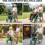 GICS Flex 4-in-1 Rollator Walker