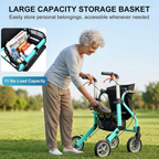 GICS Flex 4-in-1 Rollator Walker
